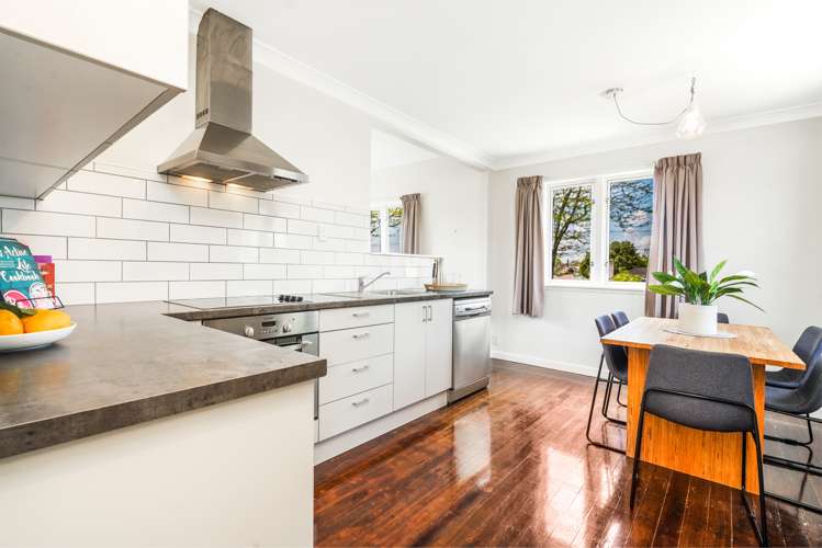 15 Macfarlane Street Hamilton East_7