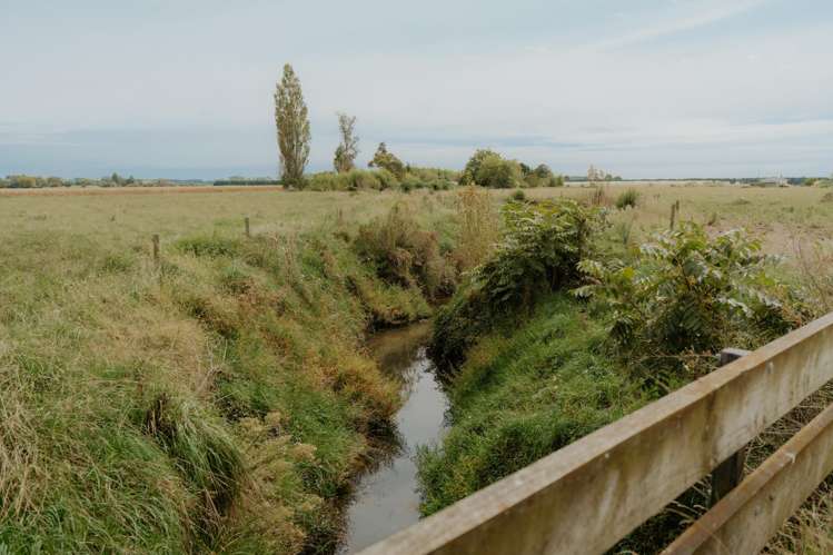 137 Matchitt Road Opotiki Surrounds_19