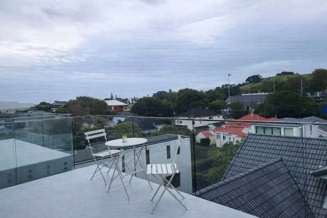 92E Manukau Road Epsom_1