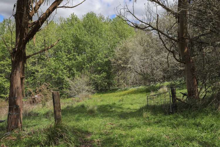 Glen Murray Road Rangiriri_24