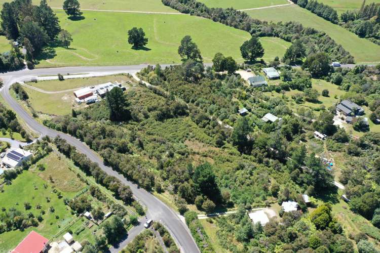 15 Onekaka Iron Works Road Kahurangi National Park_18