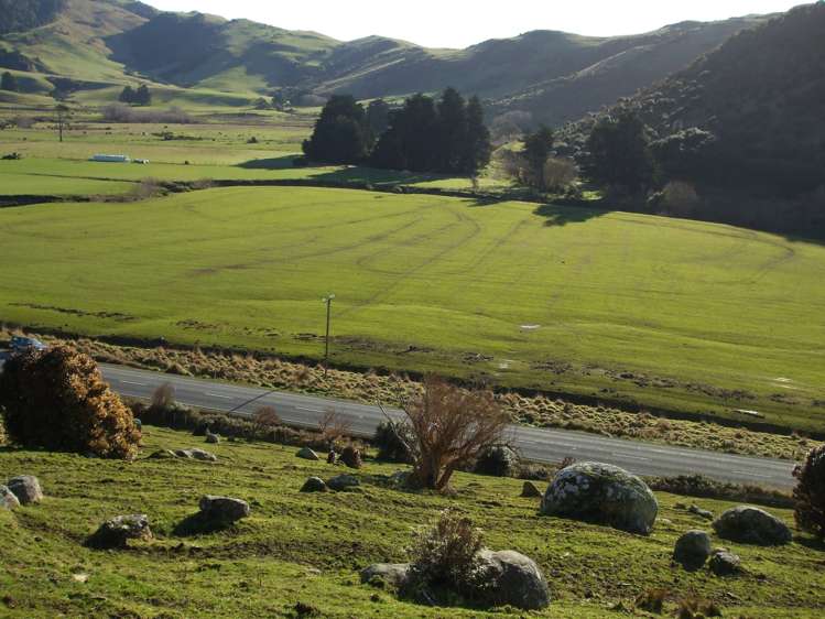 Papatowai Highway Papatowai/Pounawea_5