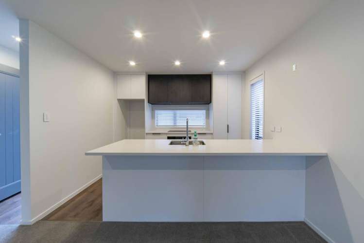64 Jacks Landing Drive Hamilton Lake_4