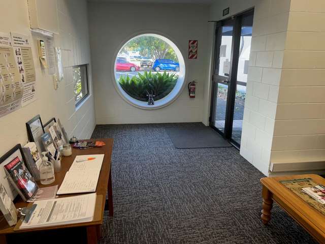 94 Raffles Street Napier South_1