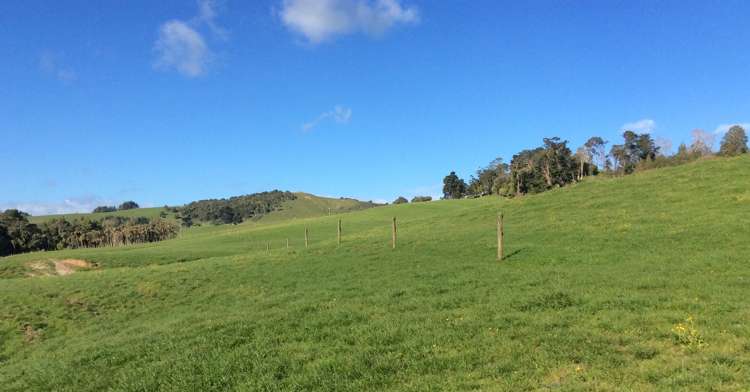 216 Morrison Road Arapohue_11