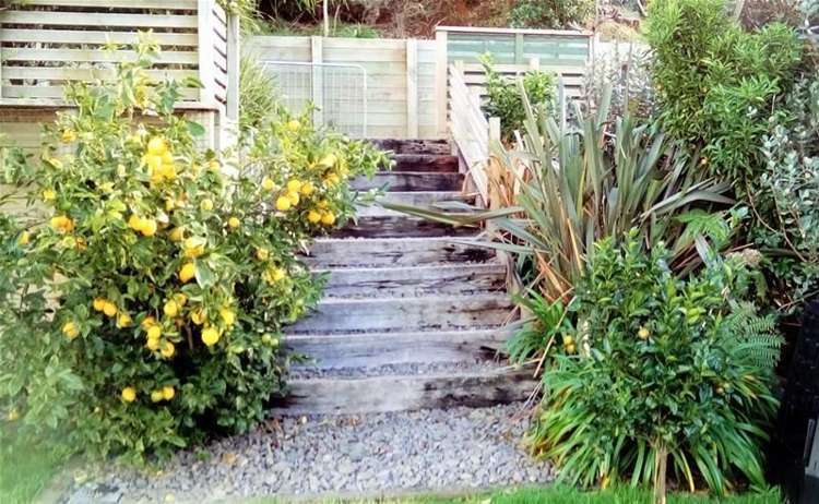 6 Cherry Lane Hurdon_33