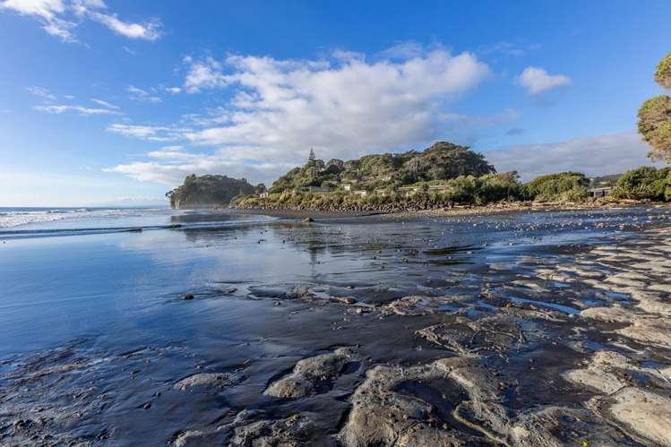 Wai-iti Beach Retreat Beach Road Waiiti_26