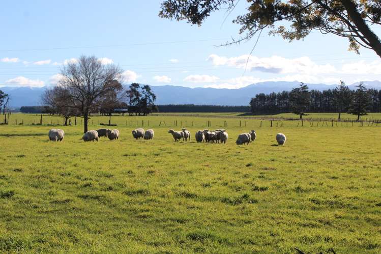 368 Balfour Road Ashley Clinton_14