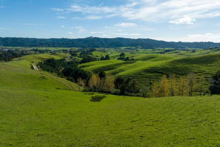 1572 Ruapekapeka Road Kawakawa_13