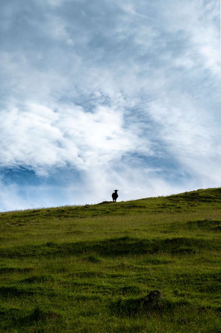 350 Pigeon Bay Road Pigeon Bay_18