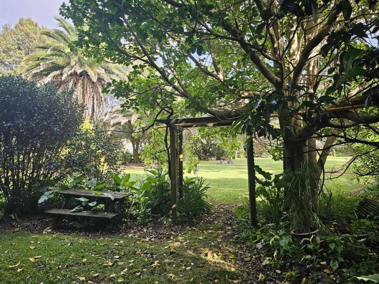 121 Ohawini Road Oakura_33