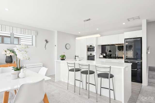 4 Latimer Way Petone_4