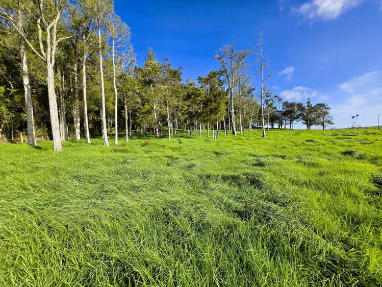 Lot Lot 3 Sills Road Dargaville_13