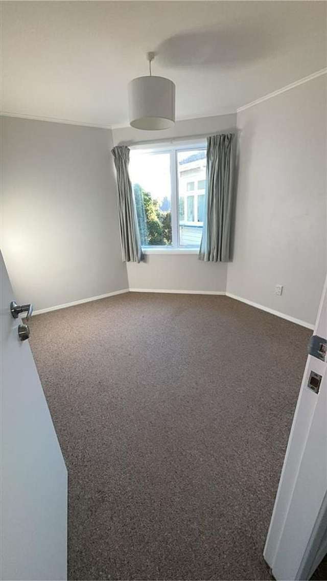 111A Rakau Road Hataitai_3