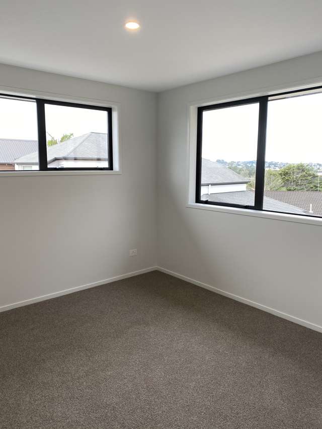 1538c Dominion Road Mount Roskill_4