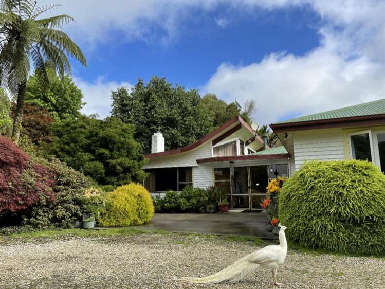 488 Tapuwae Road Benneydale_30