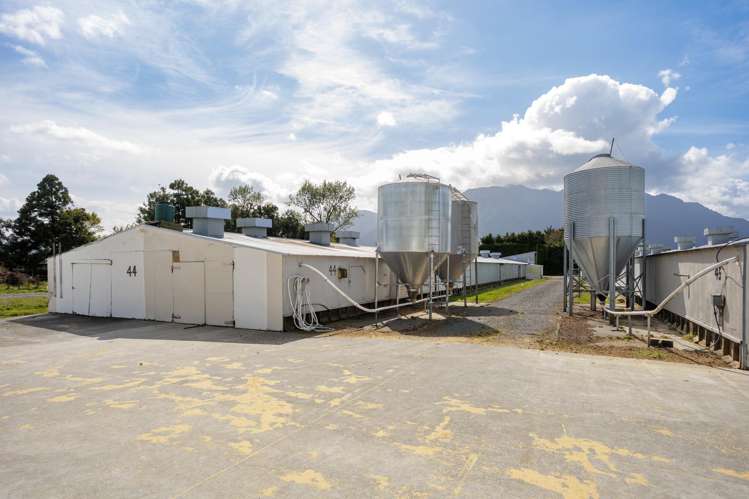 31 Te Kawana Road Te Aroha_19