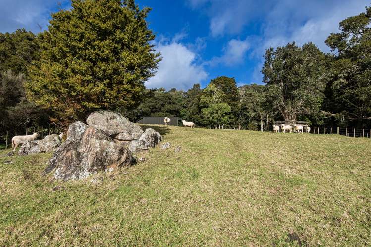 443 & 433 Pipiwai Road Ngararatunua_34