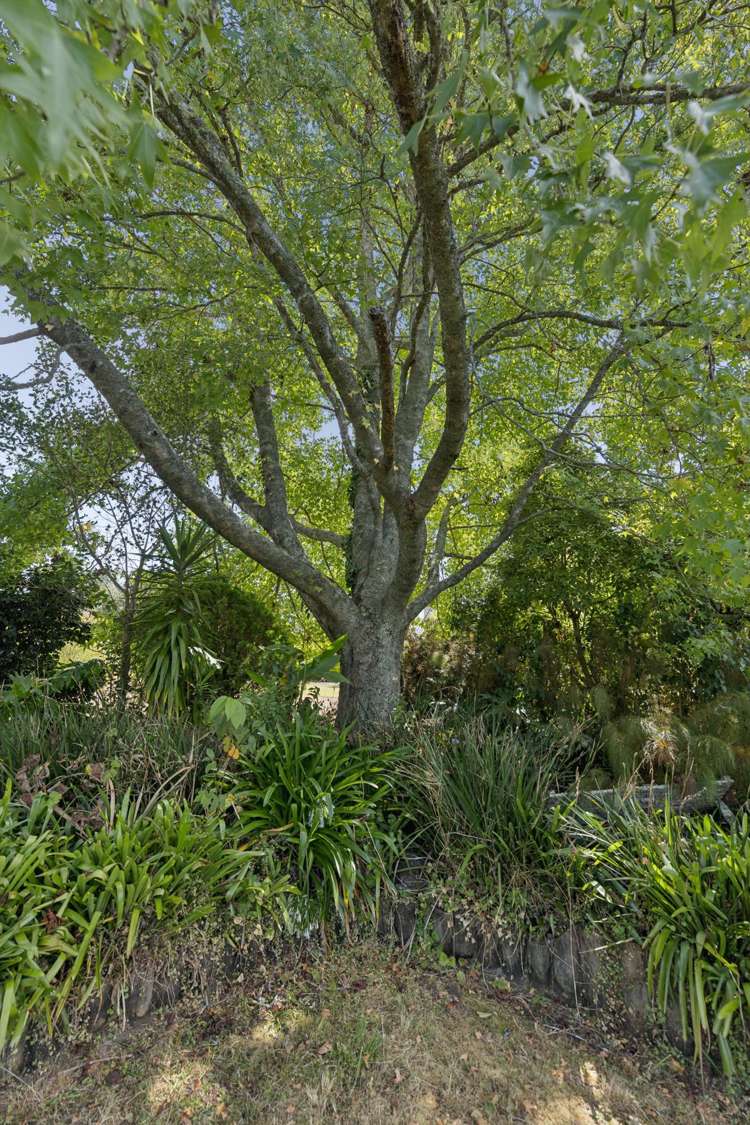 78 Russell Road Huntly_29