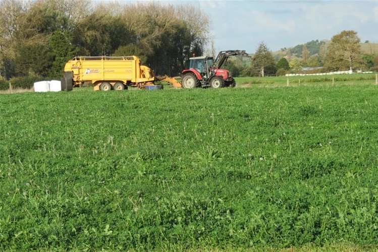 1532 Orini Road Orini_6