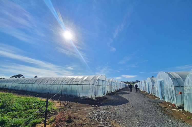 7 Ridge Road Tuakau_21