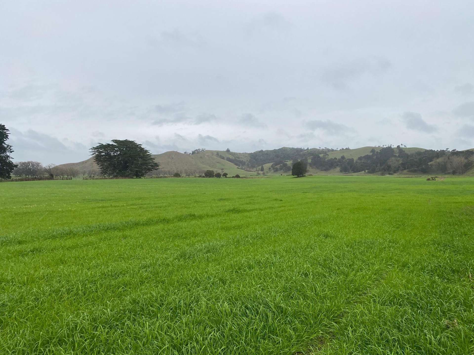 69 Kelly Road Waerenga_0