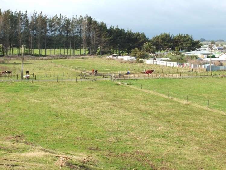 9a Andrews Street Foxton Beach_44