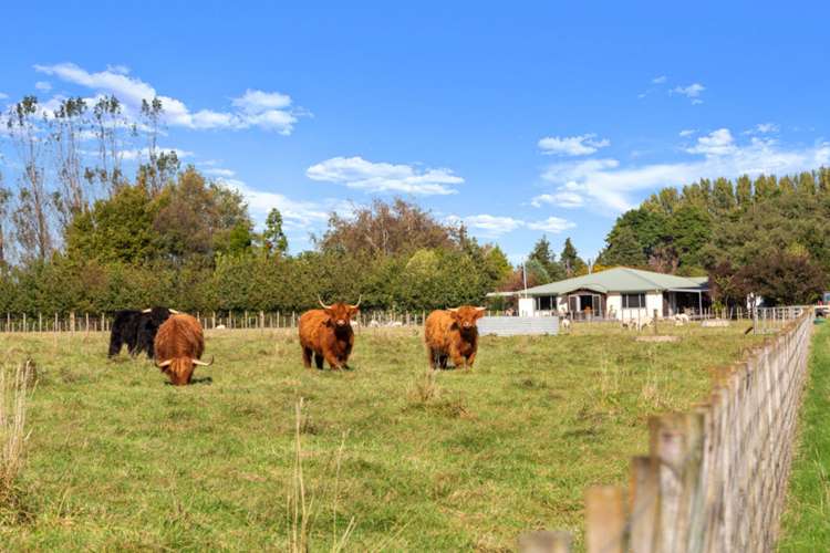 1564 Cheltenham Hunterville Road Waituna West_15