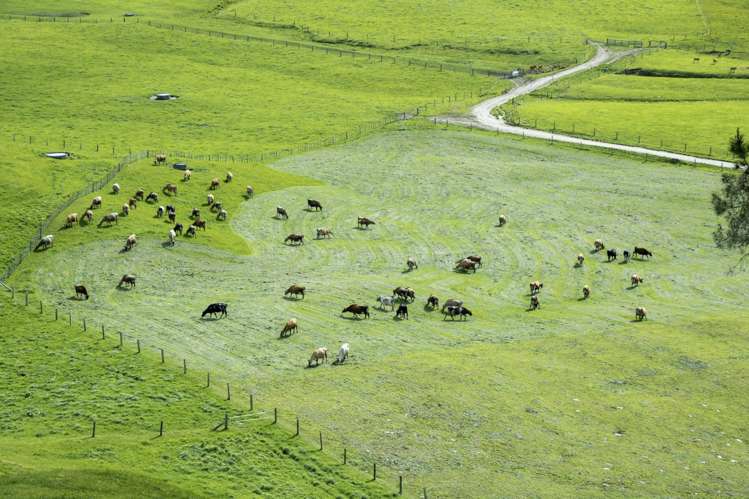 62 Rehi Road Ngakuru_20