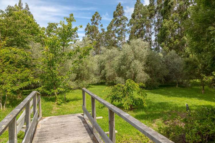 839B Chester Road West Taratahi_18