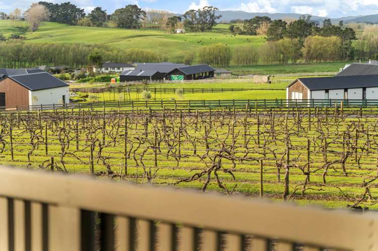 49 Vineyard Road Te Kauwhata_22