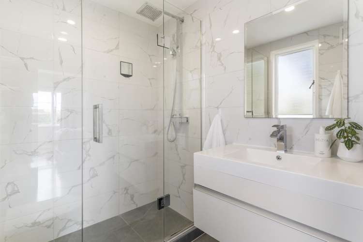 24a Michaels Avenue Ellerslie_13