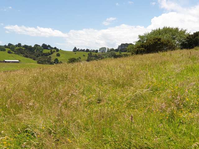 Lot/102 Franklin Road Paparoa_2