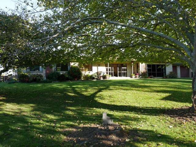 102 Allen Street Morrinsville_1