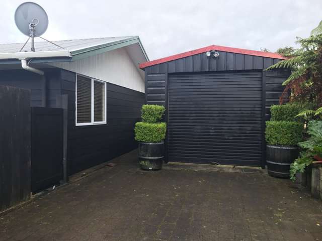 8a Galbraith Street Springfield_4