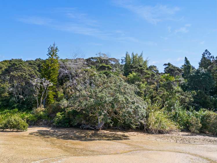 Te Wahapu Road Russell_5