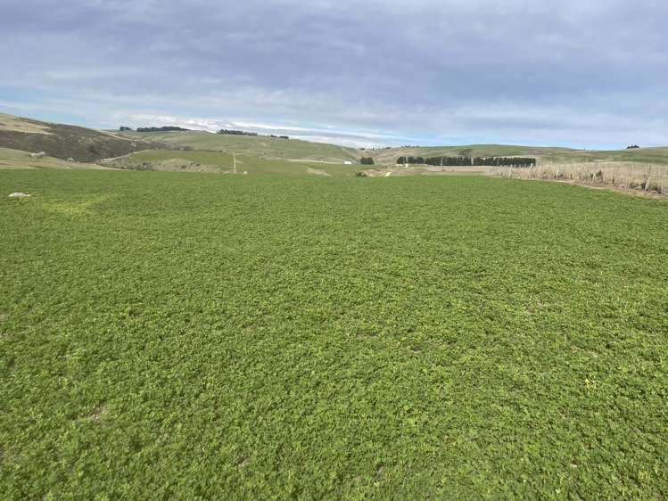 968 Wallaces Ford Road Hindon_24