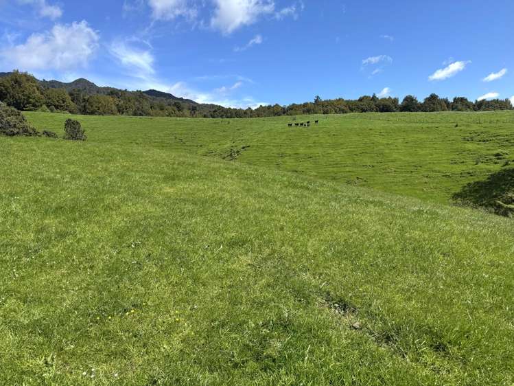 3/585 O'Shea Road Pirongia_6