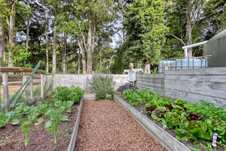 136 Settlement Road Kaiwaka_21