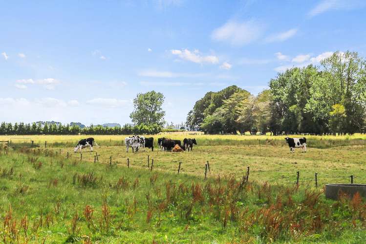 649 Wani Rd Paeroa_9