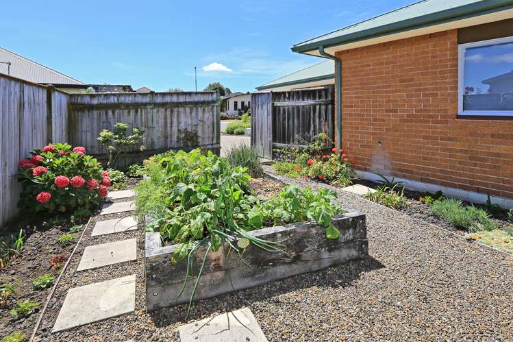 7 Saint Hill Rise Havelock North_10