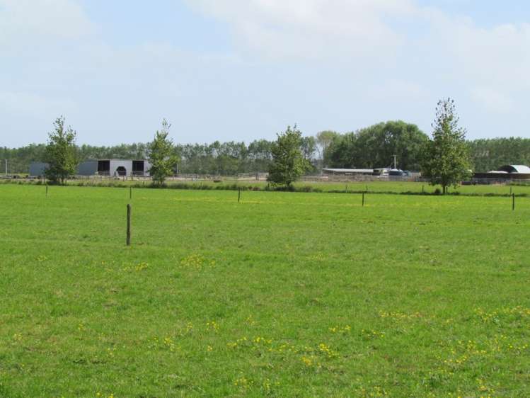 354 Access Road Ruawai_0