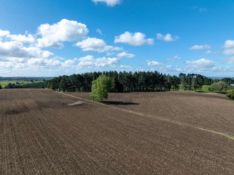 1232B Hetherington Road Huntly_13