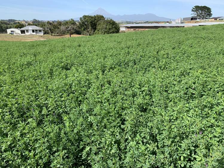 354 Paraite Road Paraite_15