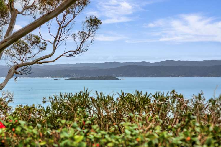 72 Anne Street Wadestown_23