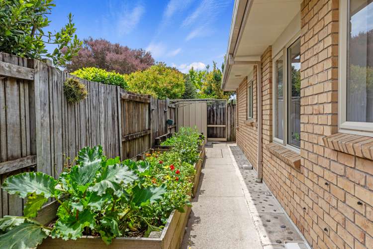 9 Lavender Place Papamoa_20