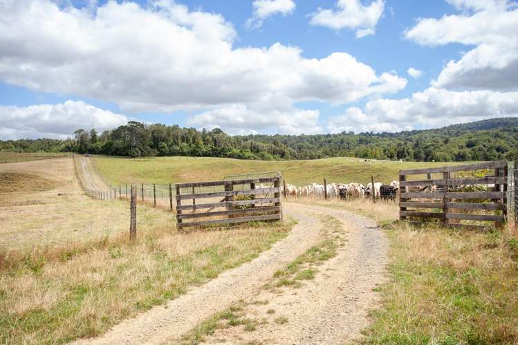 640 Brunskill Road Te Miro_15