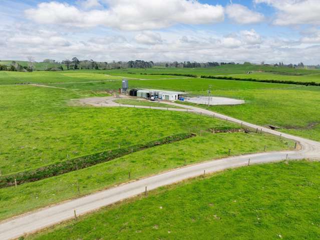 Prime Land - dairy or grazing - purchasing options