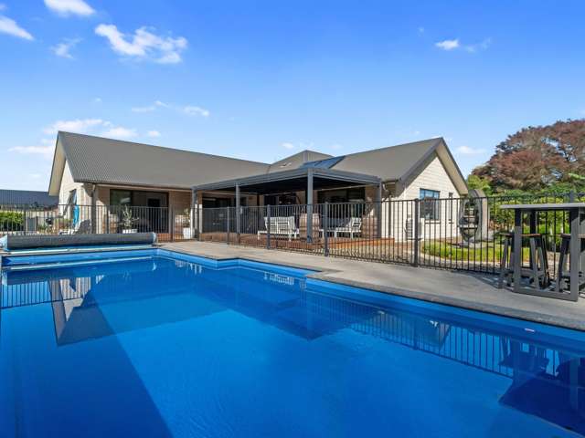 3/1131 McClure Street Pirongia_1