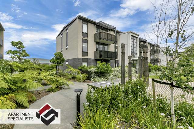 20 Mason Avenue Pukekohe_2